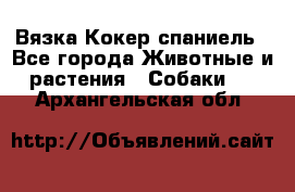 Вязка Кокер спаниель - Все города Животные и растения » Собаки   . Архангельская обл.
